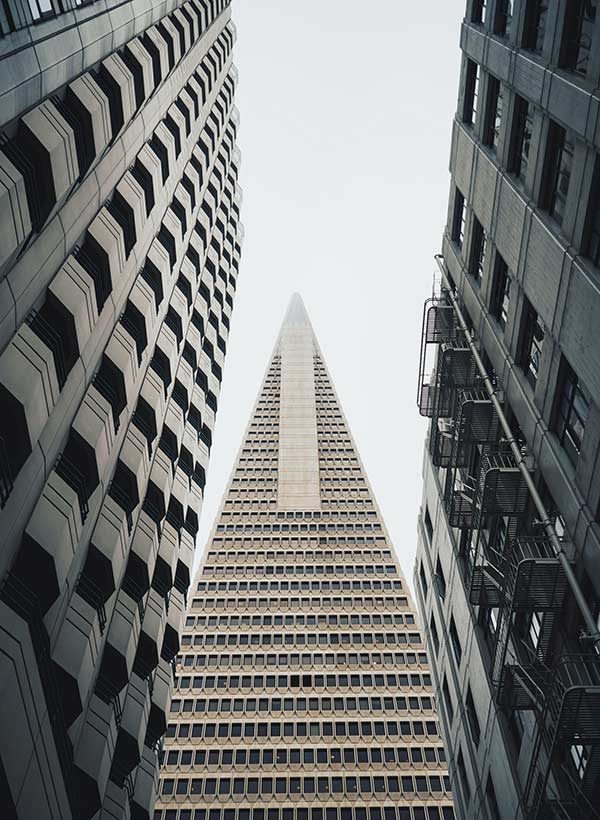 big buildings from the bottom view into the sky